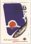 Picture of Herring (selyodka) from the Pacific ocean, salted - advert